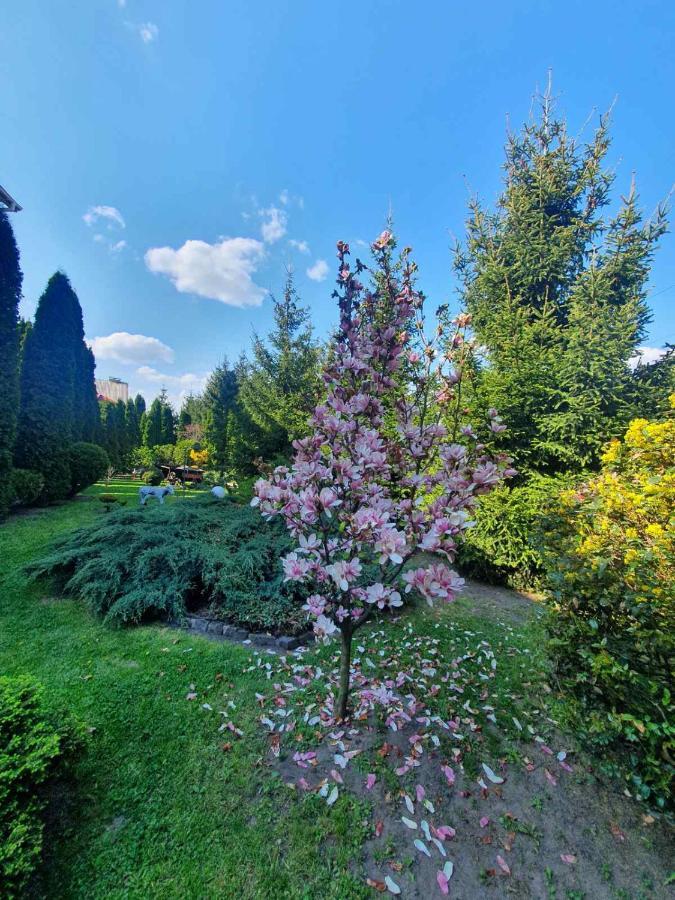 Дом Для Души С Бассейном Целиком Hotel Vinnytsia Luaran gambar